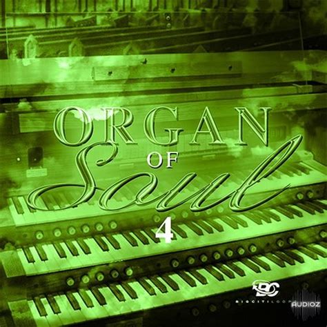 Download Big Citi Loops Organ Of Soul 4 Wav Fantastic Audioz