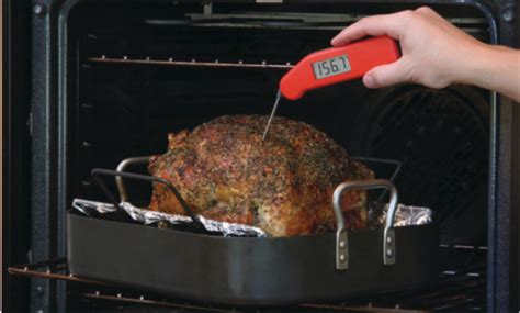Where To Put The Thermometer In A Turkey