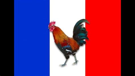 National Bird Animal Flower Of France Home Alqu