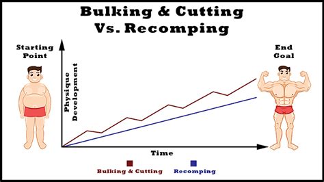 Bulking And Cutting Vs Recomp Metrixsafas