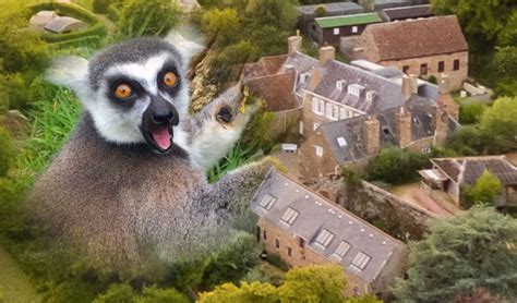 Jersey Zoo Gets Ready To Open Its Doors Bailiwick Express Jersey