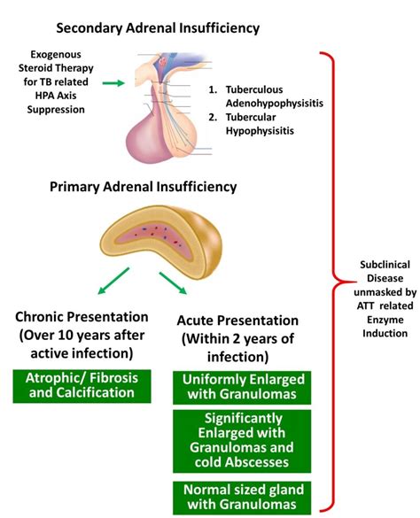 Figure 2 Mechanisms Of Adrenal Insufficiency With Endotext