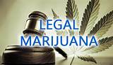 Pictures of Buy Marijuana Seeds Legal