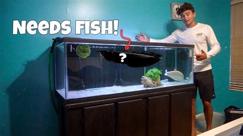 125 Gallon Fish Tank Tall Wese Aquarium Fish