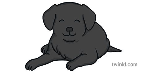 лежећи седећи бакар пас црни лабрадор родитељи ејфови Illustration Twinkl