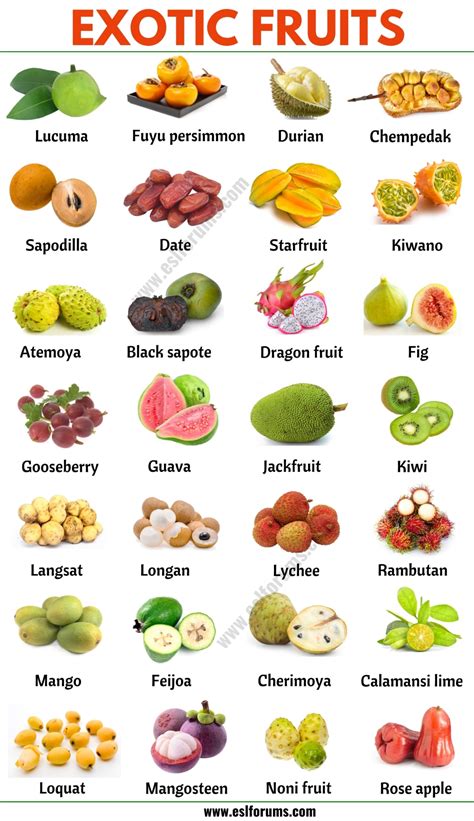 Citrus Fruits Names In English Tere Fruit