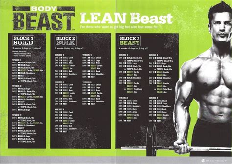 Coachannagray Body Beast Workout Schedule Beast Workout Body Beast