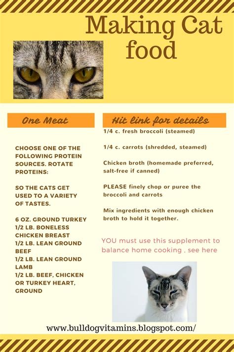 Choosing the right food for a cat will help make it and your life better and happier. Picky cat food recipes; Pet Nurse Marie, | Healthy cat ...