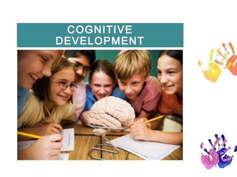 Middle Childhood Cognitive Development