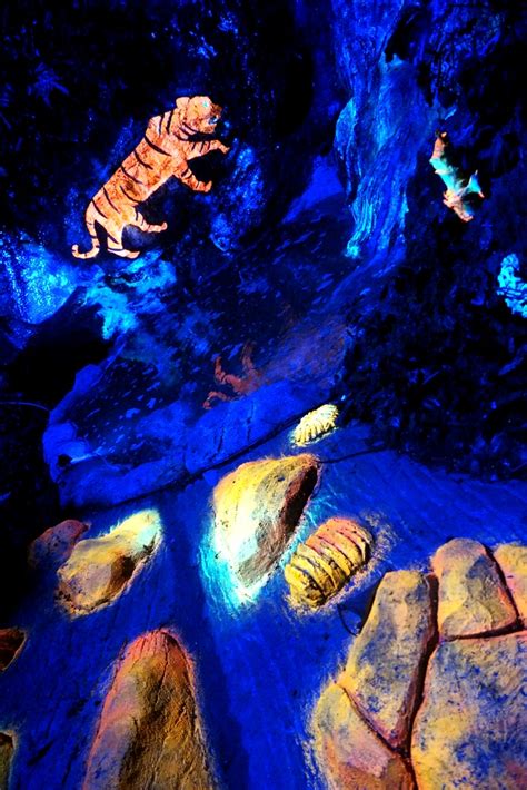 The lost world of tambun (lwot) is a theme park and hotel in sunway city ipoh, tambun, kinta district, perak, malaysia. The Luminous Forest of Tambun's Lost World ⋆ Home is where ...