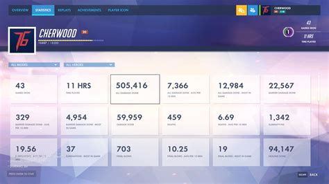 Profile Statistics Overwatch Interface In Game