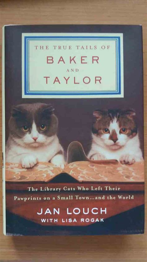 Five Of The Best Books For Cat Lovers Interesting Literature