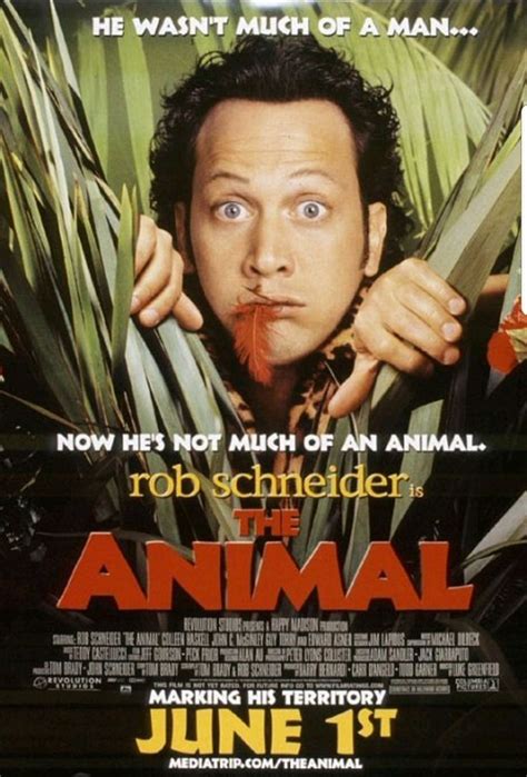 2001 The Animal Rob Schneider Movies Hd Movies