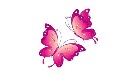 Full Size Wallpapers Computer Pink Butterfly 2018 Live Wallpaper Hd