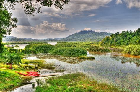 Legend has it that a mythical dragon lives in the lake and is the guardian of a lost city of. Chini Lake Malaysia - Images - XciteFun.net