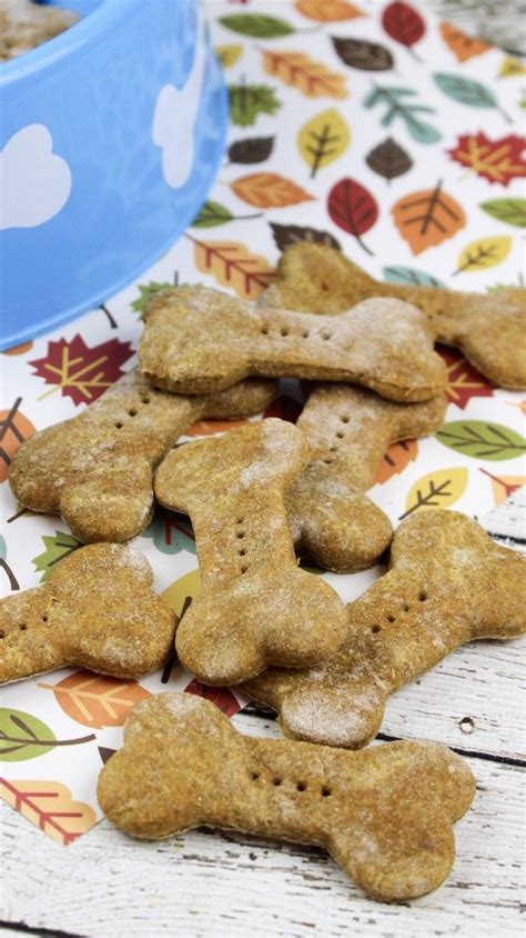 Here Is An Easy Pumpkin Peanut Butter Dog Biscuits Recipe That You Can