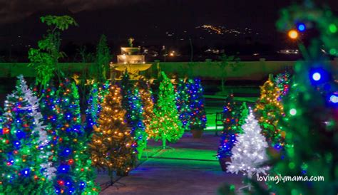 Largest Christmas Tree Park In The Philippines Opens In Bacolod