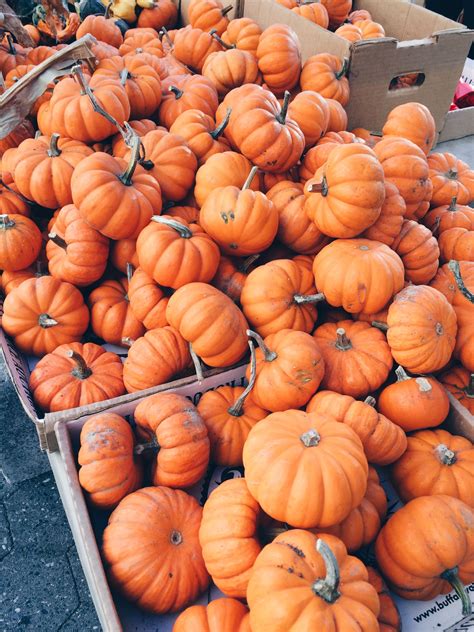 Aesthetic Pumpkin Wallpapers - Top Free Aesthetic Pumpkin Backgrounds