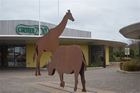 Exempla™ Mesh Fencing Secures Animals At Chester Zoo Cld Fencing