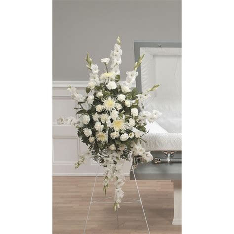 White Fuji Mum Stand Ctt6 11 Natures Treasures Florist