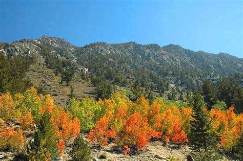 The 7 Best Spots For Fall Color In California Socal Wanderer Food
