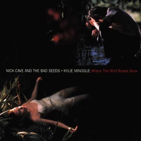 Where The Wild Roses Grow Nick Cave The Bad Seeds Amazon Fr Cd Et Vinyles