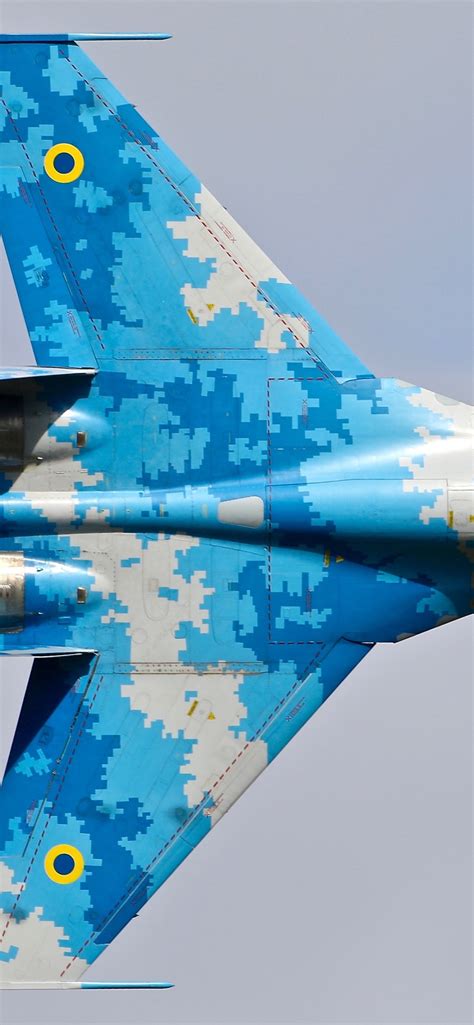 Free Download Su 27 Fighter Blue Wings Top View 1242x2688 Iphone 11