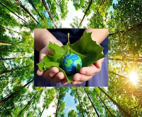 First earth day was celebrated in 1970. जानिए क्यूँ मनाया जाता है अर्थ - दिवस .... - SAMACHAR BHARTI