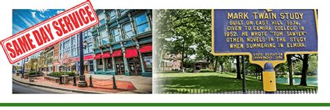 New york city pest control experts is locked, loaded and ready to fire on any insect or rodent related inconveniences you may have in your home. Pest Control Binghamton | #1 in Southern Tier | EnviroPest NY