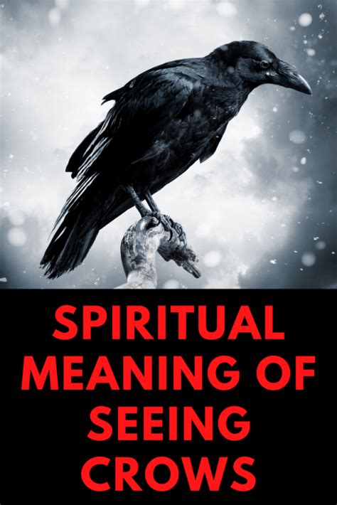 What Is The Spiritual Meaning Of Seeing Crows Myths And Dream Interpretation Insight State