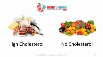Cholesterol Heart Disease Fat Saturated Animal Based