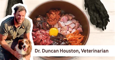 The heart disease, called canine dilated cardiomyopathy (dcm), can cause congestive heart failure in dogs. DCM and Heart Disease in Dogs and the Role Diet Plays ...