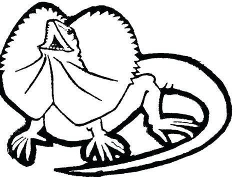 Lizard Coloring Pages To Print At Getdrawings Free Download
