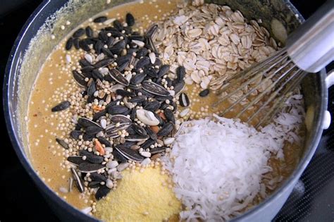 Green meadow 2 peanut butter jar bird feeder amish handmade red/black gray/black measures: Homemade Bird Suet - Hello Nature