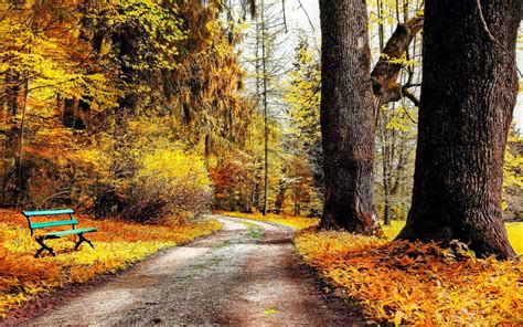 Foto Herfst In Het Park Mooie Leuke Achtergronden Voor Je Bureaublad