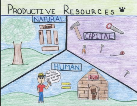Human capital definition, the collective skills, knowledge, or other intangible assets of individuals that can be used to create economic value for the individuals, their employers, or their community: SS3E1 Define and give examples of the four types of ...