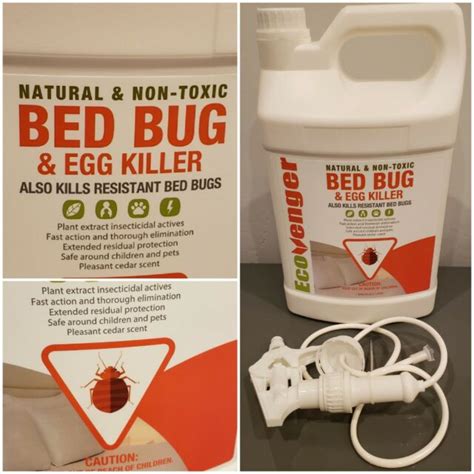 1 Gal Ecoraider Bed Bug Killer Spray Natural Non Toxic Bio Insecticide