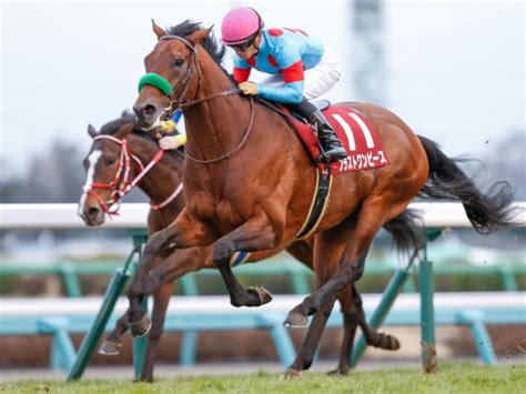 ダノンキングリー (danon kingly) は、日本の競走馬。主な勝ち鞍は2019年の毎日王冠（gii）、共同通信杯（giii）、2020年の中山記念（gii）。 馬名の意味は冠名＋王にふさわしい、王位に君臨することを願って。 【大阪杯】ブラストワンピースは1日計量で552kg、ダノン ...