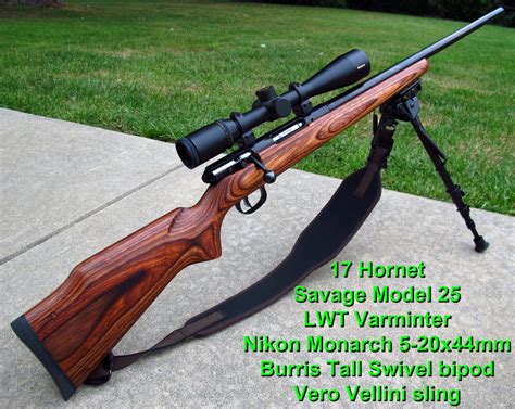 17 Hornet Is Finally Here Foxpro Forums