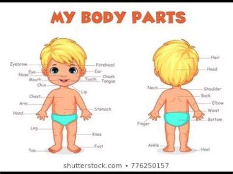 If you compare the body features of a sinhalese with : Body Parts in Tamil & English - YouTube