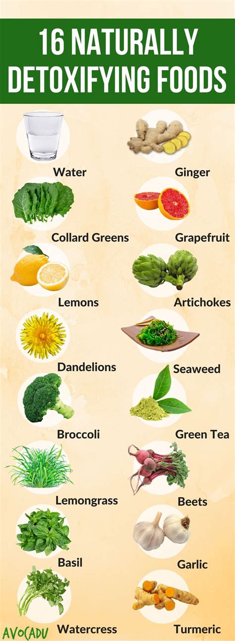 16 Foods That Naturally Detoxify Your Body Lose Weight Quick Detox
