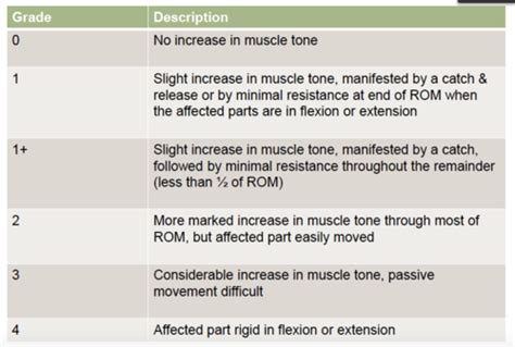Pt Lecture Stroke Part B Assessment Of Tone
