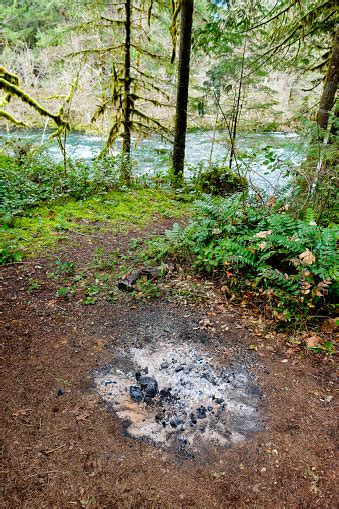 Campfire Remains And Ash In Forest Stock Photo Download Image Now