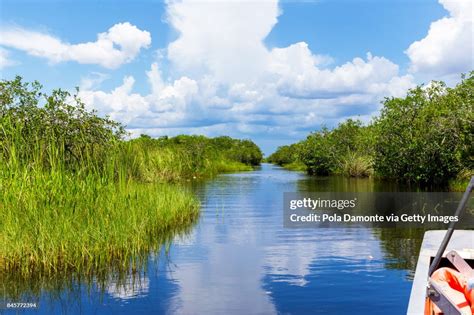Everglades Natural Landscape High Res Stock Photo Getty Images