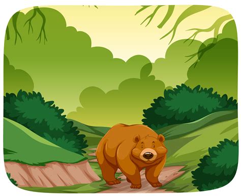 A Bear In The Forest 446278 Vector Art At Vecteezy