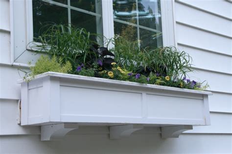 Window Box Success The Impatient Gardener