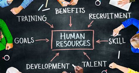 What Is Human Resources Know Human Resources Skills Career Path