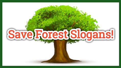 Save Forest Slogans Ll Slogans On Save Forest In English Ll Saveforest