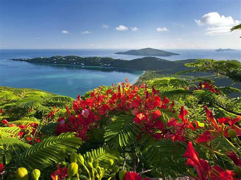 Caribbean Islands Beautiful View Exotic Holiday Wallpaper Hd