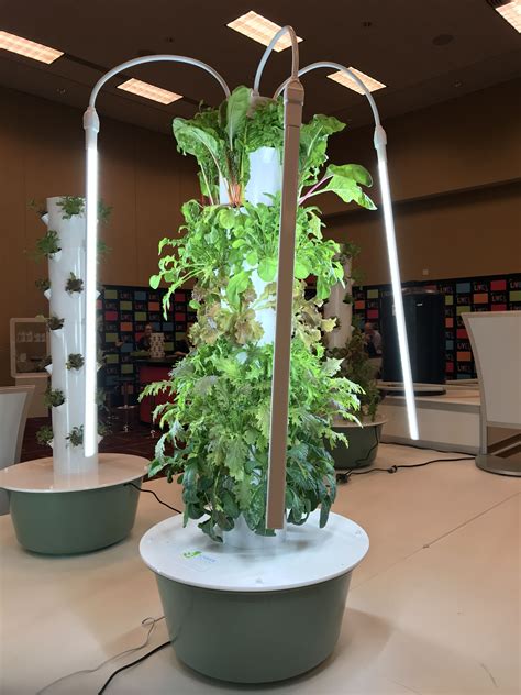 Grow 365 247 Indoor Or Out With The Power Of Vertical Aeroponic